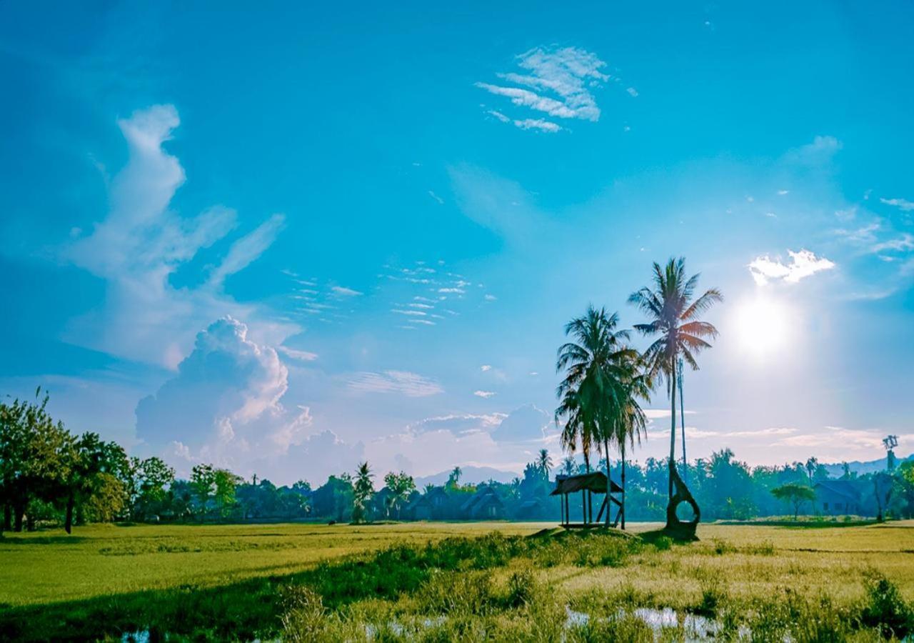 Pelangi Beach Resort & Spa, Langkawi Екстериор снимка A view of the paddy fields in the village
