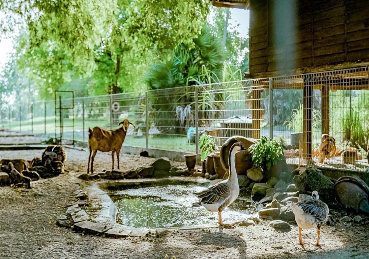 Pelangi Beach Resort & Spa, Langkawi Екстериор снимка The goat barn at the Old Zoo